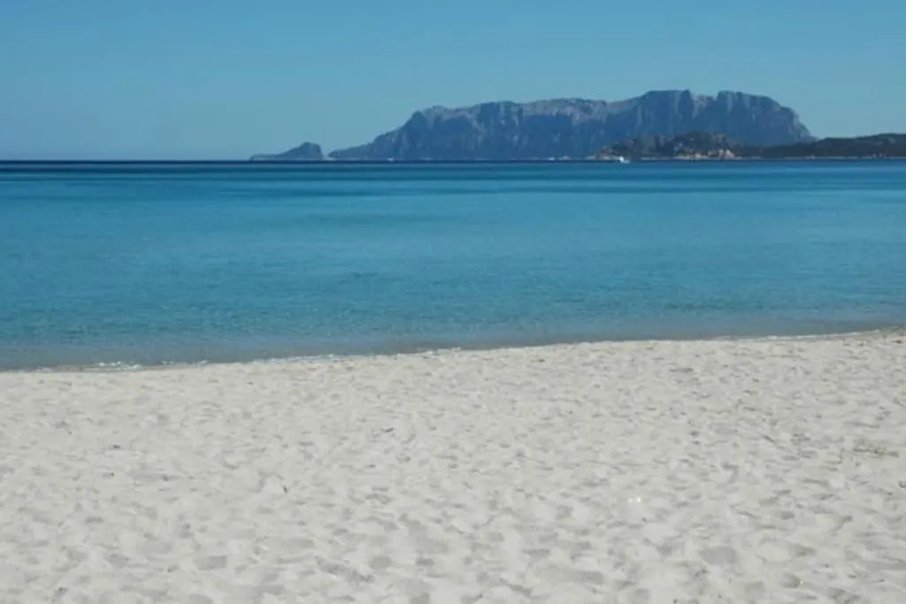 شقة Sardegna Casa A 250 Metri Dal Mare Con Piscina أولبيا إيطاليا